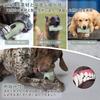 LLiKZio Dog Chewy Stump Design Dog Toys Food Grade Nylon Coffee Slow Brushing Pet Supplies for Separation Anxiety 1 Freezer Case Gray Toys, - &
