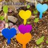 100PCS Heart Shaped Plant Labels Tags Reusable Succulent Signage  Garden Flower Pots