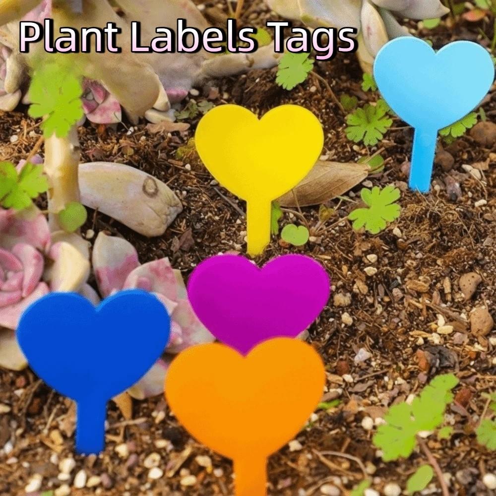 100PCS Heart Shaped Plant Labels Tags Reusable Succulent Signage Garden Flower Pots