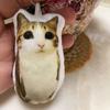 Мяу Кошка Голосовая Плюшевая Брелок-Подвеска Милое Говорящее Мягкое Животное для Сумок Рюкзаков Забавный Подарок для Детей Студентов
