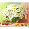 Full 5D Diy Diamond Painting Small Daisy Flowers Diamond Embroidery Full Lay Cross Stitch Home Decor Handmade Gift