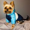 Autumn Winter Pet Clothes Down Cotton Coat Hat Warm Puppy Jacket for Pet Small Dog Hoodies