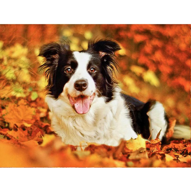 5D Diy Полный Круглый Квадратный Алмазная Картина Животных Собака Алмазная Вышивка Осенний Кленовый Лист Украшение Стены Домашнее Искусство