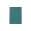 [Delfonics] [Direct Store Exclusive] Leather Diary Cover A6 (Turquoise)