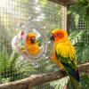 Wear-Resisting Bird Mirror Perch Colorful Ball Bird Flying Saucers  Bird Supplies