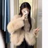 Женская куртка из искусственного норкового флиса, осенне-зимняя одежда, искусственный мех лисы, утолщенная на хлопковой подкладке, короткий длинный ворс
