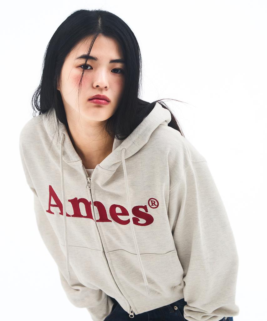 Ames-Worldwide базовая толстовка с капюшоном на молнии цвет овсянки