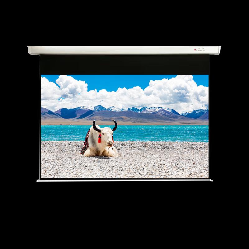 Red Leaf New 120-inch Projector Screen