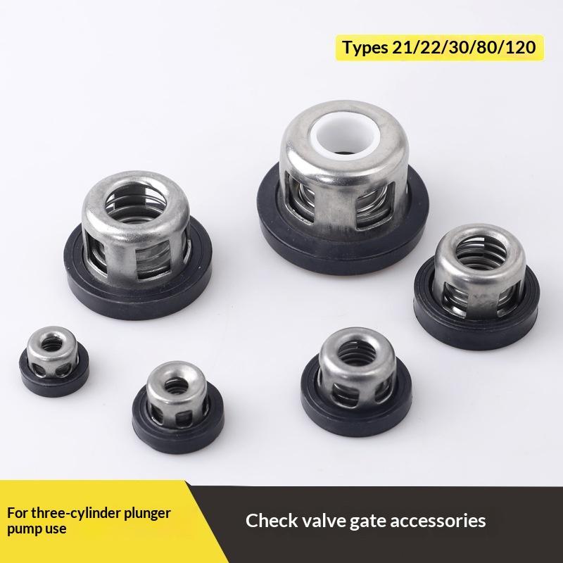 Stainless Steel Power Sprayer Pump Valve High Pressure Brass Engine 22/26 High Efficiency for Landscape Irrigation