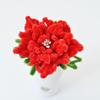 Finished Pipe Cleaner Flower Handmade Chenille Stem Red Peony Flower for Women Mother Wife Valentine's Birthday Wedding Home Decor