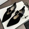 Pointed Toe Women Marie Jane Shoes Low Heels Fashion Buckle Shoes Autumn 2024 Trend New Designer Dress Woman Walking Zapatos