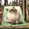 1pc Siamese Cat Outdoor Flannel Blanket , Machine Washable Perfect Gift for Birthday , Holiday Travel Accessory , Durable Material