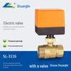 AC220V Electric Two-Way Two-Control Valve for Solar and Central Air Conditioning Fan Coil Systems
