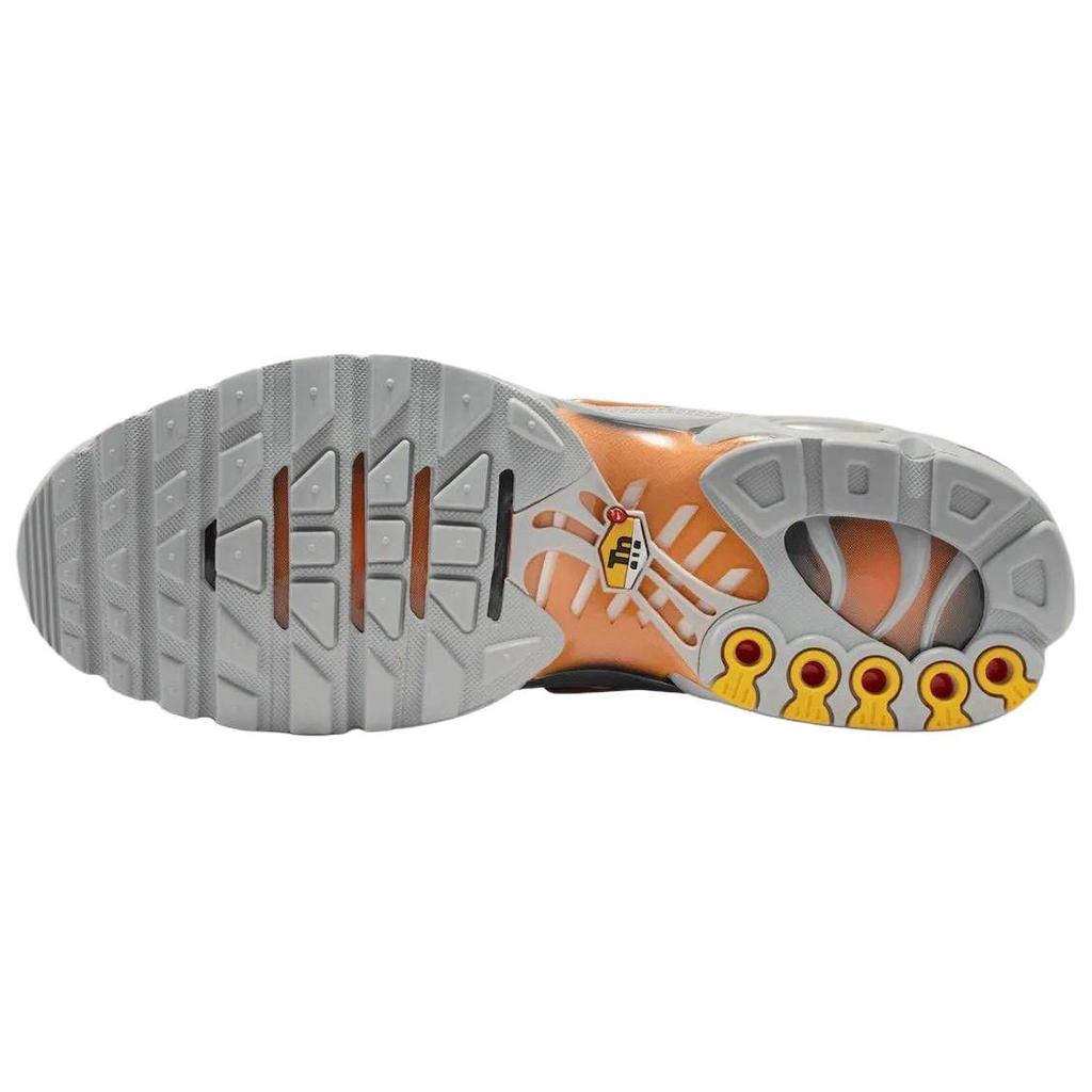 Nike Кроссовки Air Max Plus для бега Унисекс Серые DM0032-037