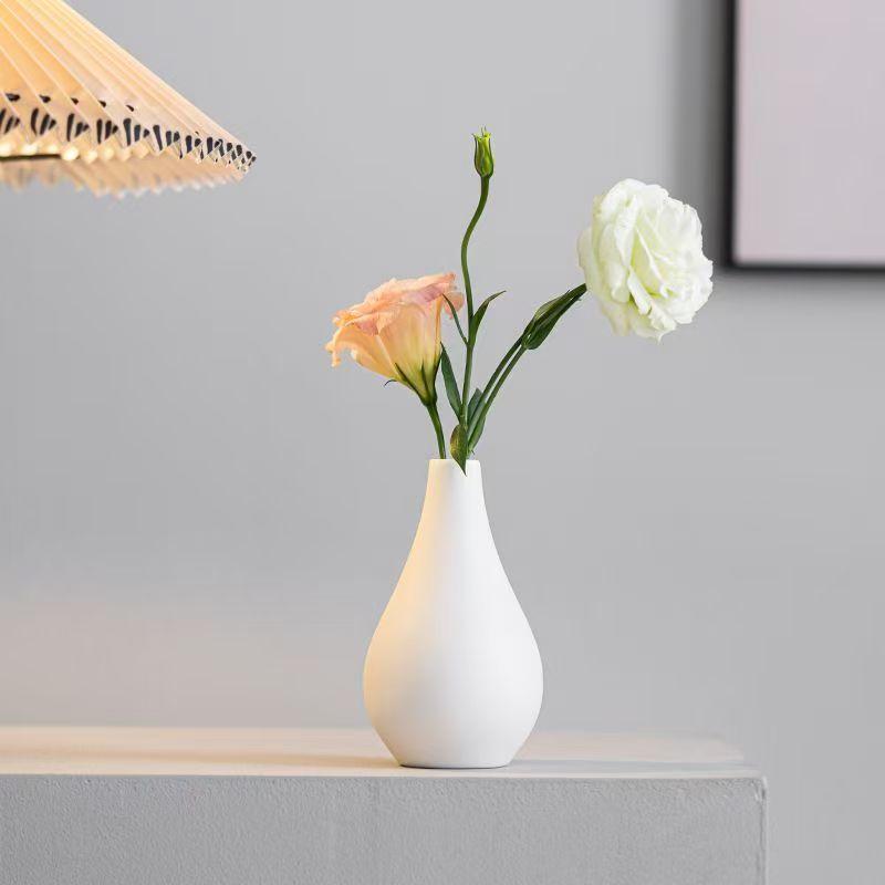 Простая керамическая ваза, набор из пяти предметов, бытовое рукоделие, маленькая ваза для цветов, простой прихожая, тумба под телевизор, настольное украшение