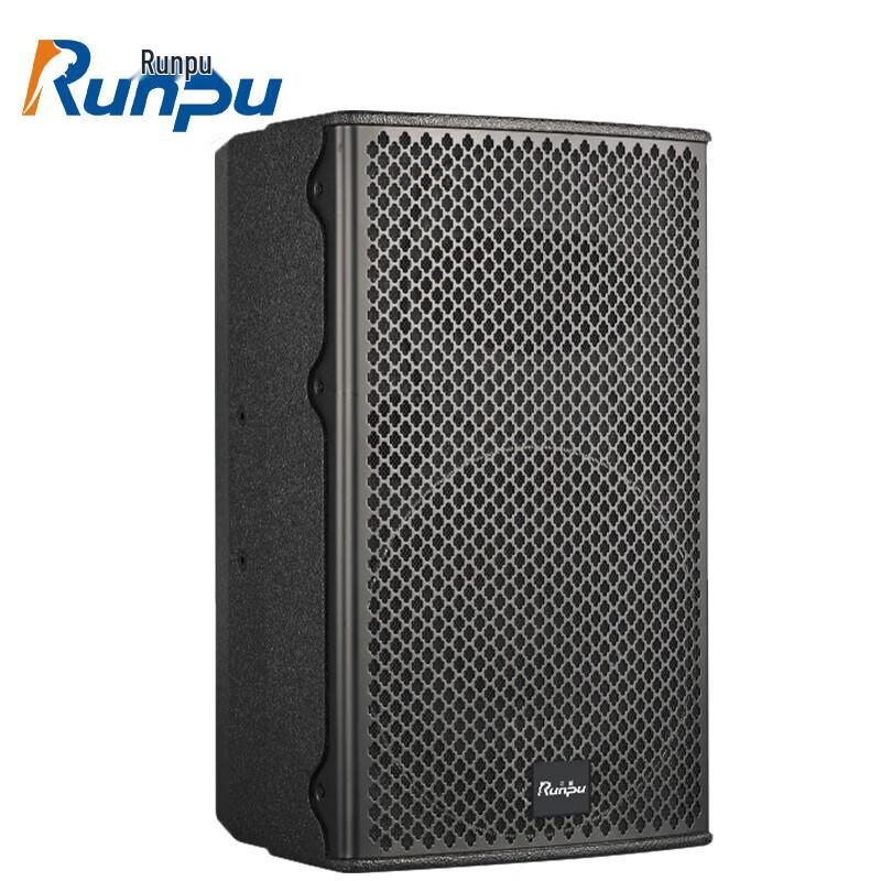 Runpu RP-YGX810Pro 10-inch Professional Passive Full-Range Conference Speaker (CN version)