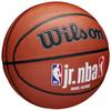 Wilson Jr NBA Fam Logo In/Out Ball, Unisex orange Basketball