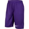Nike Шорты Dri Fit SS25 Садовый фиолетовый IB8681-547