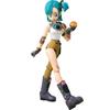 Интернет-магазин Bulma SHFiguarts "Dragon Ball" (Тамасии Лимитед)