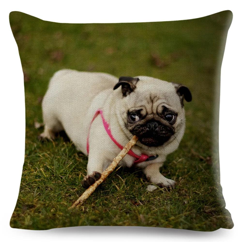 Both Sided Pug Dog Print Cushion Cover Decoration Pet Animal Pillow Case for Sofa Home Car Linen Pillowcase 45x45cm