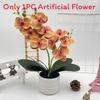 Artificial Phalaenopsis Flower Pot For Outdoor Garden Wedding Decor Photography Props And Home Decor
