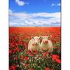 Diamond Mosaic Animal Sheep Picture Flowers DIY Diamond Embroidery 5D Full Diamond Painting Cross Stitch Decor