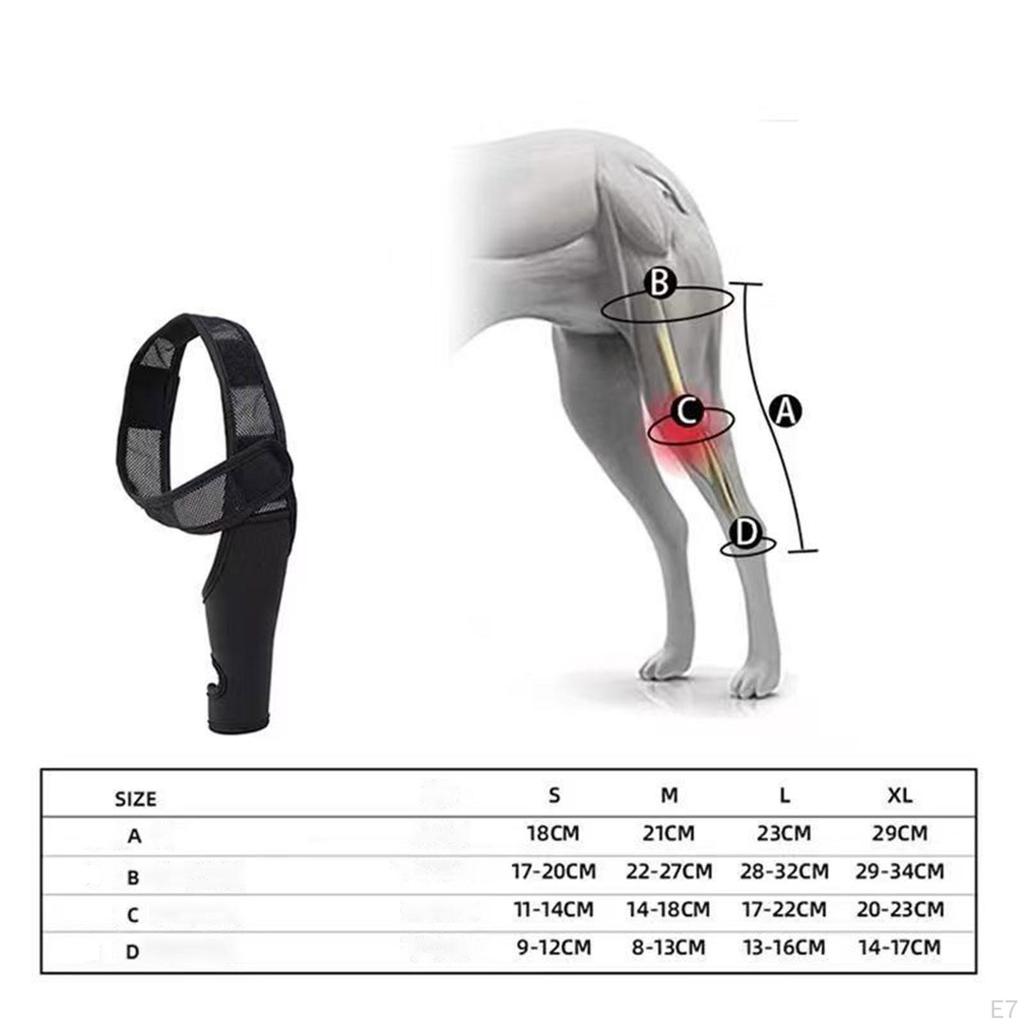 Dog Hip Leg Brace Sleeve Adjustable Quick Installation Soft Anti Slip Strap