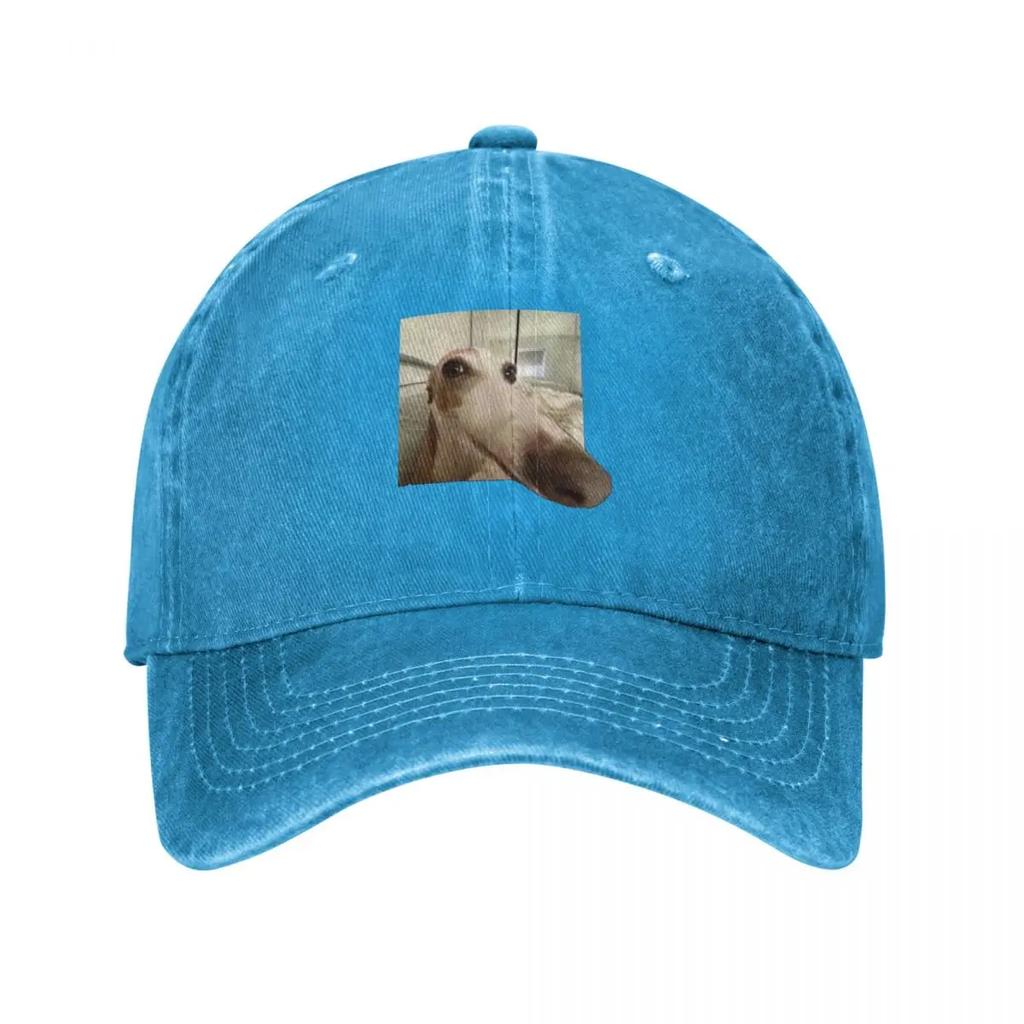 Funny Dog Baseball Cap hats on offer New In Hat Winter hat designer cap For Women  Unisexs