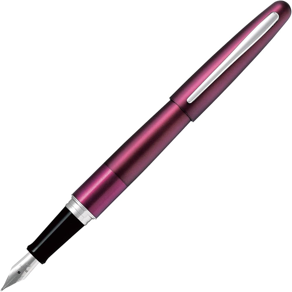 PILOT FCO3SRBOM Cocoon Medium Бордовая перьевая ручка