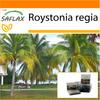 Garden in the Bag - Cuban Royal Palm - 8 семян - С субстратом в подходящем пакете-стойке - Roystonia regia
