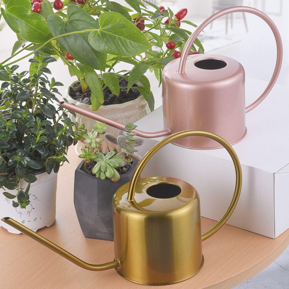 Rustproof Leakproof Long Spout Watering Can Stainless Steel Watering Pot Watering Can Indoor