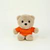 Teddy Bear Plush Toy Keychain With Printing For Gift And Decoration