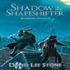 Shadow of the Shapeshifter by David Lee Stone Paperback Book 9781739777609