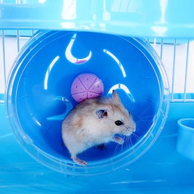 3-этажная клетка для домашних хомяков, роскошный дом, портативная мышь, украшение для дома, среды обитания