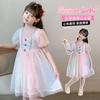 Pink princess dress, girls' summer new style gradient rainbow western-style birthday dress, children's dress, baby dress