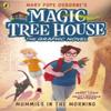 Magic Tree House Mummies In the Morning by Jenny Laird Paperback Book 9780241712047