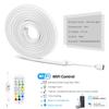 Smart 12V LED Neon Strip RGB Waterproof Tape Lights Dimmable Decoration With WIFI Tuya App Remote Control