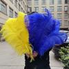 15-60Cm Natural Ostrich Feathers | High-Quality For Diy, Wedding, Party, Stage, Costume & Home Decor | Various Colors Available