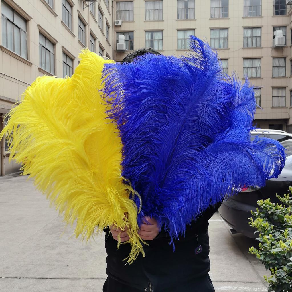 15-60Cm Natural Ostrich Feathers | High-Quality For Diy, Wedding, Party, Stage, Costume & Home Decor | Various Colors Available