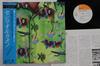 LP Record CECILIO & KAPONO - Cecilio & Kapono 25AP722 CBS SONY 1977 Japan Obi Rock Used