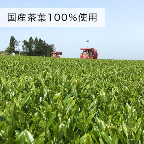 Itoen Oi Ocha Matcha-infused Genmaicha 100g Made 100 Domestic Tea Leaves