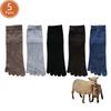 1/5 Pairs Winter Men Five Finger Socks Short Harajuku Wool Solid Business Anti-Bacterial Breathable Warm Socks With Toes Brand