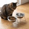 15 Degree Inclined Raised Cat Bowls Stainless Steel Pet Feeder Container  Kitten/Puppy/Bunny
