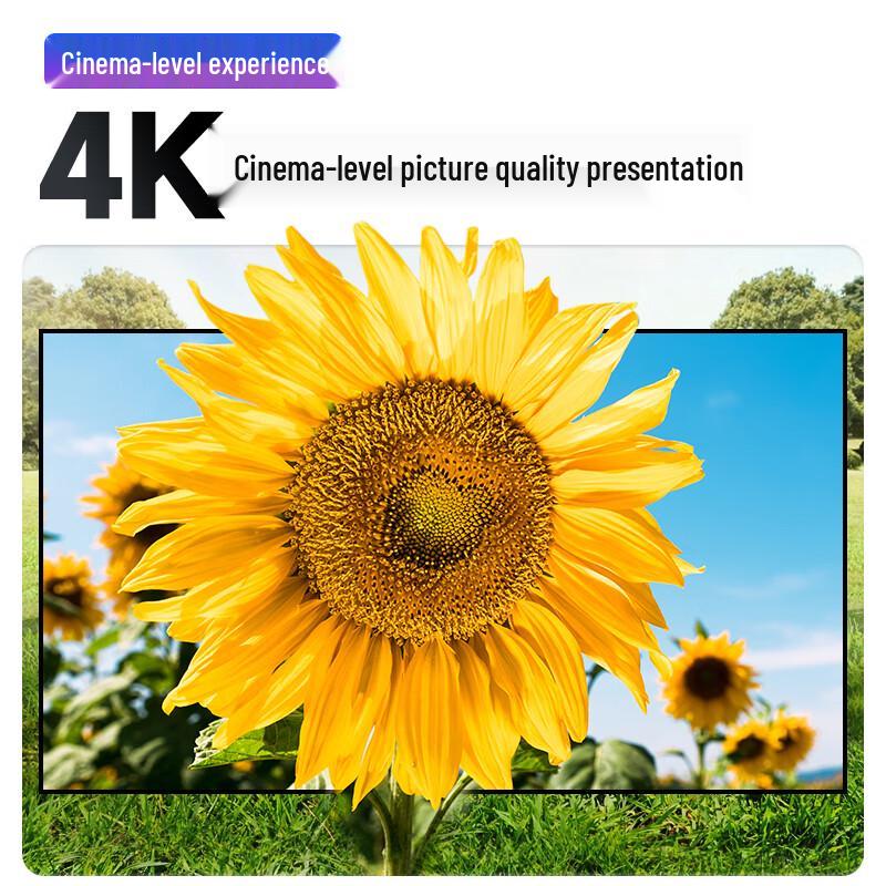 Pinyue K2 Fixed Frame Projector Screen