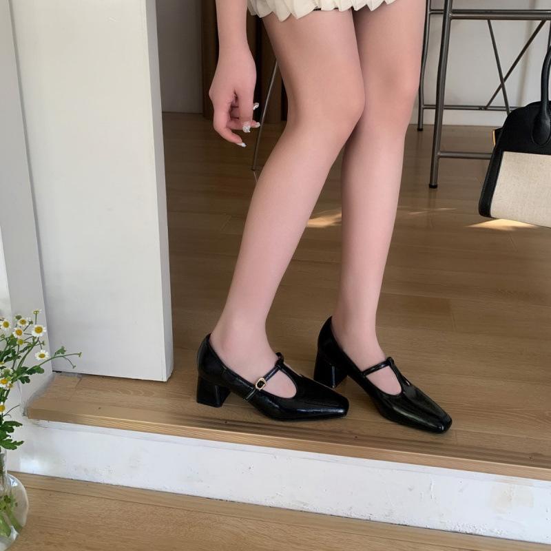 French Gentle Single Shoes Female 2025 Spring New Mary Jane Thick Heel Evening Shoes with Skirt Fairy Style Grandma Shoes Tide