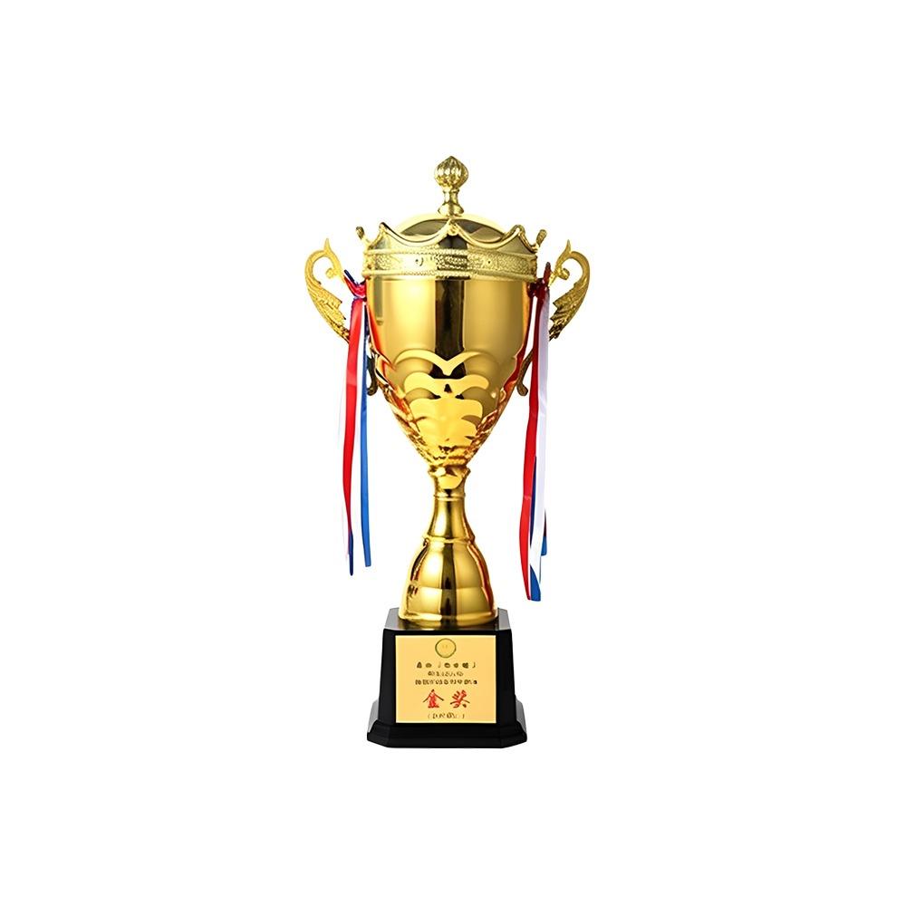 Small Size Winner Award Trophy 60/57/50/47/41/43/40cm Champion Trophy  School Rewarding