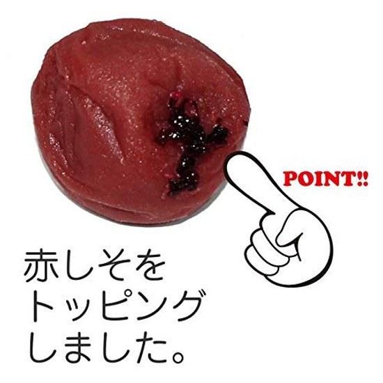 Every time I see it my stomach growls. Umeboshi food sample magnet cute interesting souvenir gift 321M Coconut Accessories