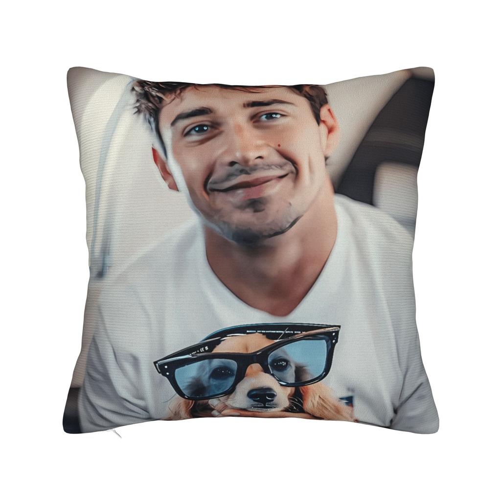 Arc Raiders Rooster Game Pillow Cover Retro Trendy Pillow Case For Couch Sofa Bedroom Design Cushion Cover Gift