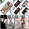 Чехол для телефона Samsung Galaxy M32 M52 M12 M13 M33 M23 M53 M15 M55 M31 M51 M14 M34 M54 M20 с изображением кошки Сфинкс