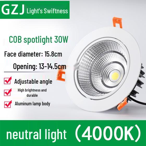 Recessed 20W Spotlight Downlight for Clothing Stores, 15-30W Commercial Ceiling Light
